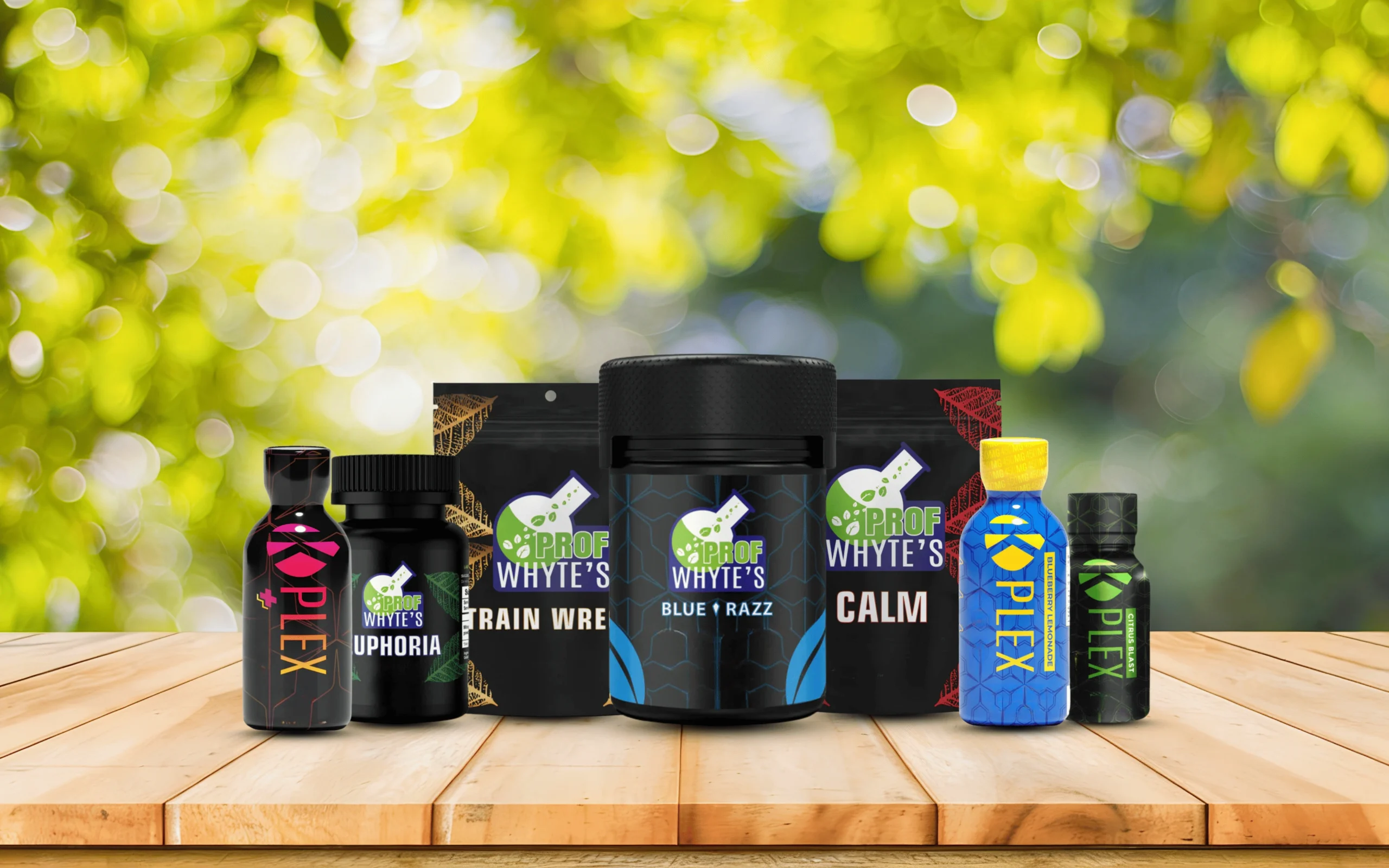 Affiliate program banner